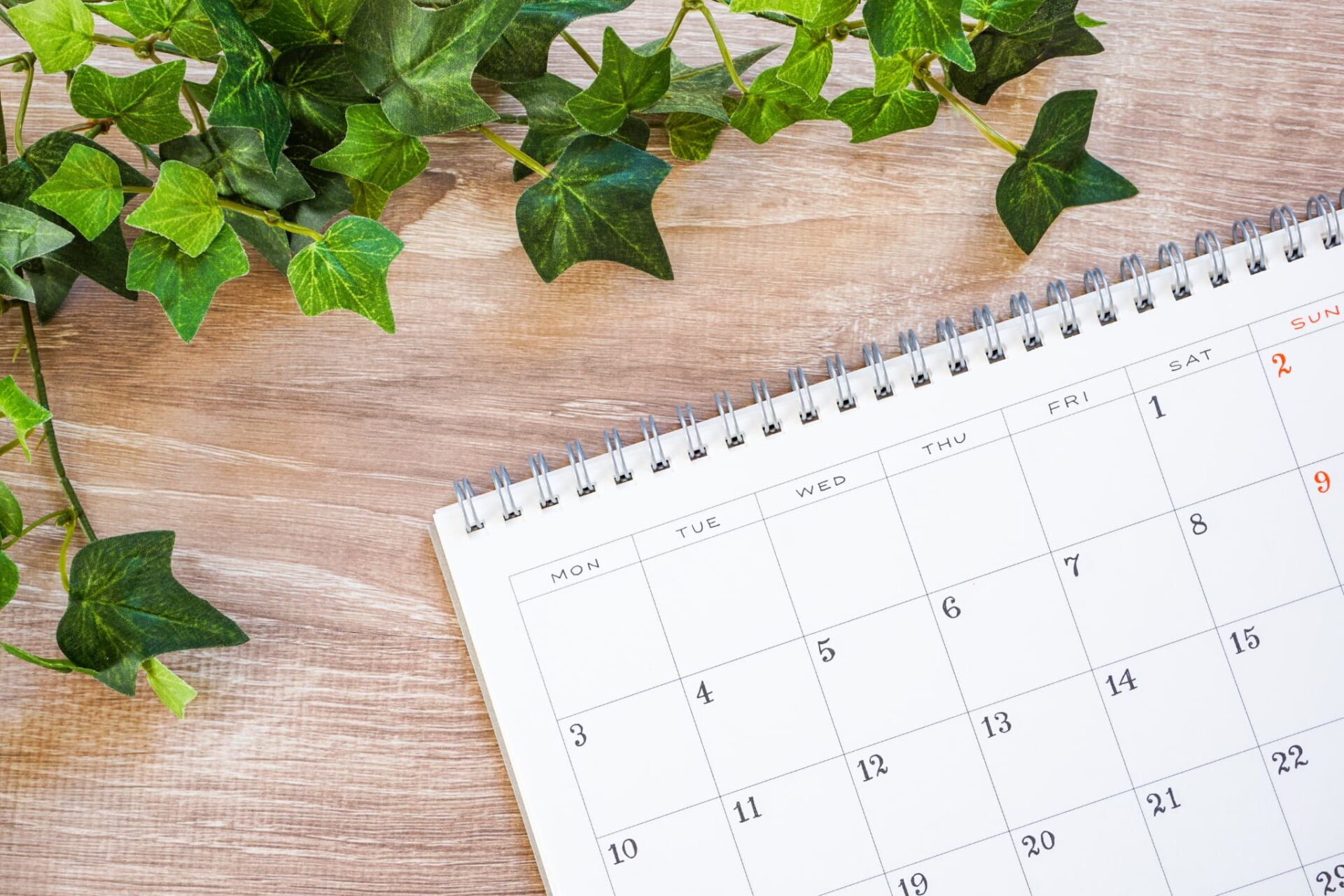 保険診療の入れ歯にかかる期間のイメージ