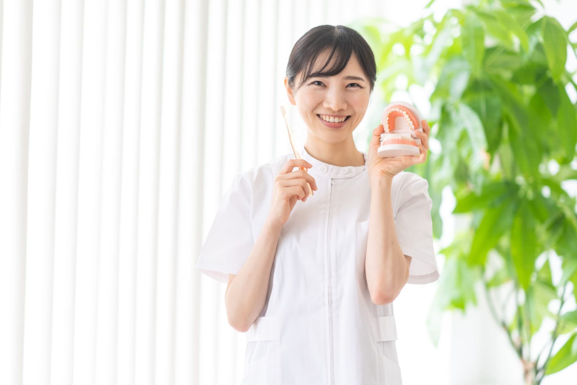 歯の模型と歯ブラシを持った歯科衛生士