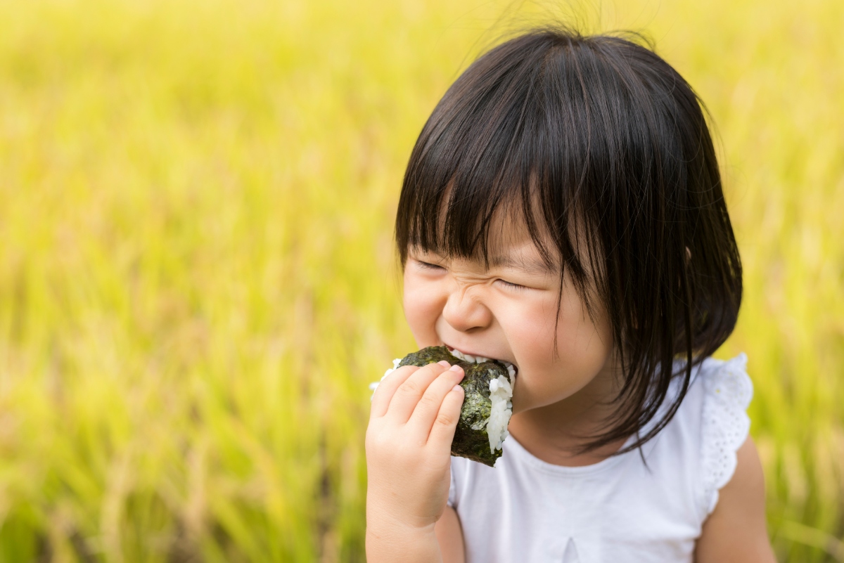 健康的な歯の子ども